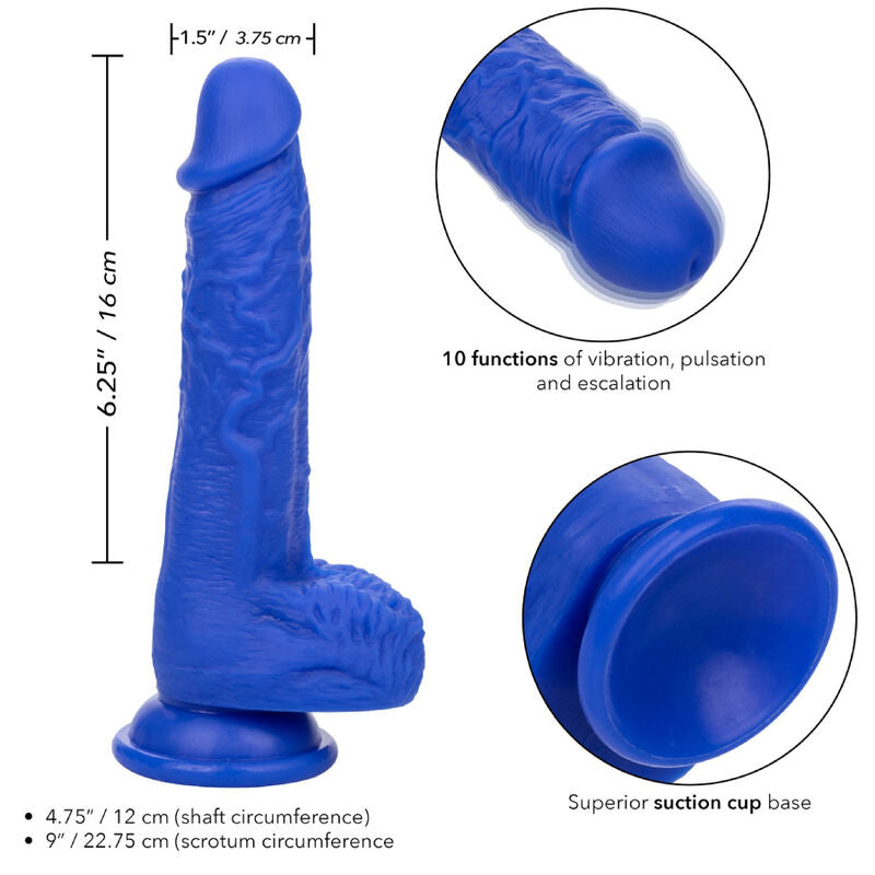 Comprar CALEXOTICS Admiral Sailor Dildo Azul – Diseño Realista Para Placer Sensorial-Noxtic