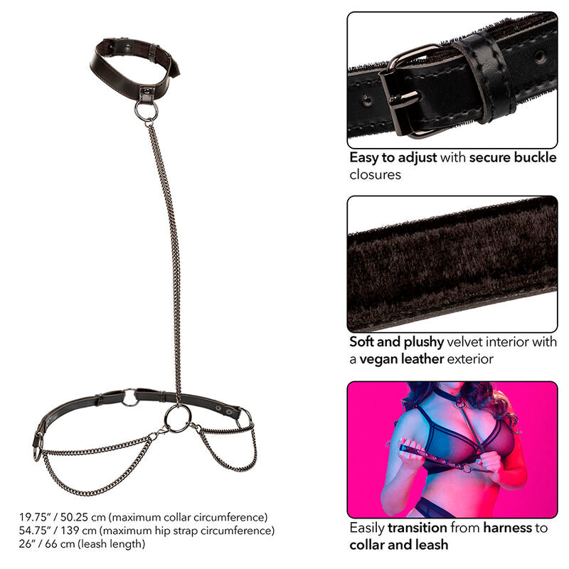 Comprar CALEXOTICS Collar Halter Euphoria Con Correa – Diseño Elegante Para Confianza Y Libertad Sensorial-Noxtic