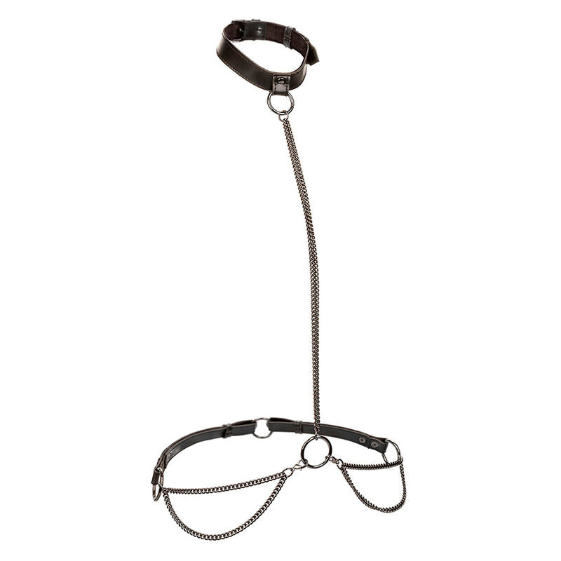 Comprar CALEXOTICS Collar Halter Euphoria Con Correa – Diseño Elegante Para Confianza Y Libertad Sensorial-Noxtic