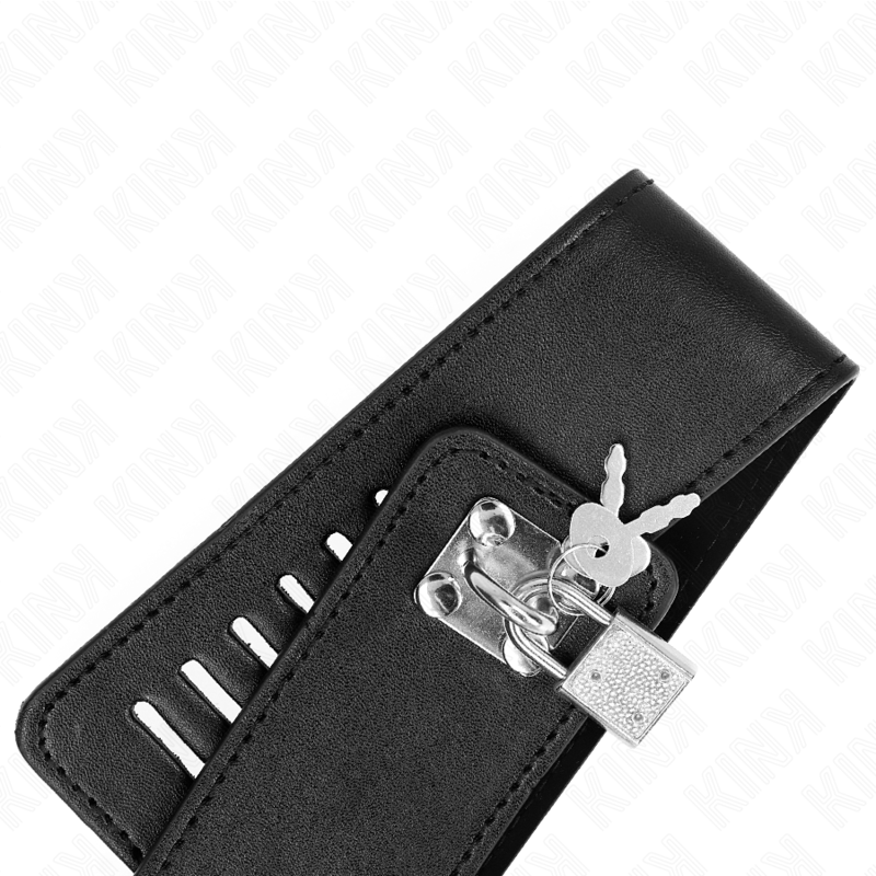 Comprar KINK Collar Con Correa Ajustable 36 A 43 Cm – Diseño Elegante Para Comodidad Y Estilo-Noxtic