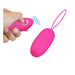 Selkie Huevo Vibrador con Control Remoto