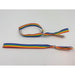 Pulsera Ajustable Bandera LGBT