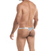 Tanga Classic Provocative Plateado Skai