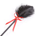 Plumas y Pala 2 en 1 36 cm Negro Rojo