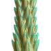 Dildo Dragon Stegosaurus Spiky Reptile