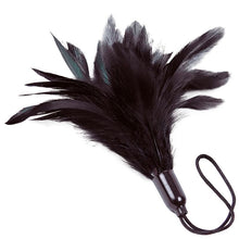 Comprar ADRIEN LASTIC Plumero Prestige Negro – Diseño Elegante Para Una Experiencia Sensorial Única-Noxtic