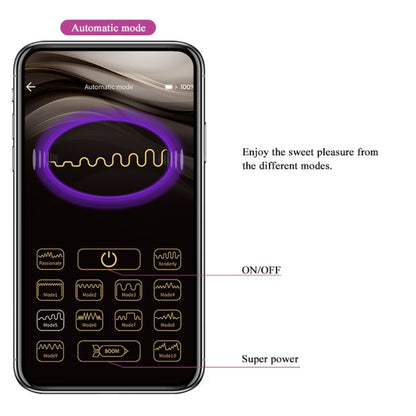 Comprar Pretty Love Elvira Bolas Vibradoras Recargables Morado – 12 Funciones De Vibración Para Ejercicios De Kegel Placenteros-Noxtic
