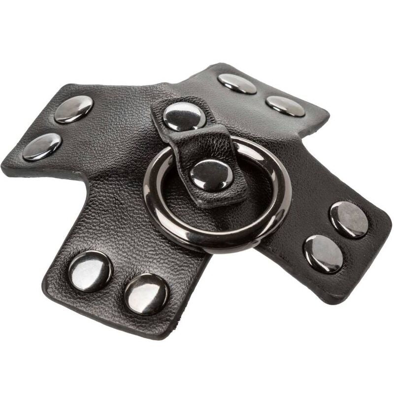 Comprar CALEXOTICS Euphoria Pezoneras Junta Tórica Negro – Accesorio Sensual Con Diseño Elegante-Noxtic