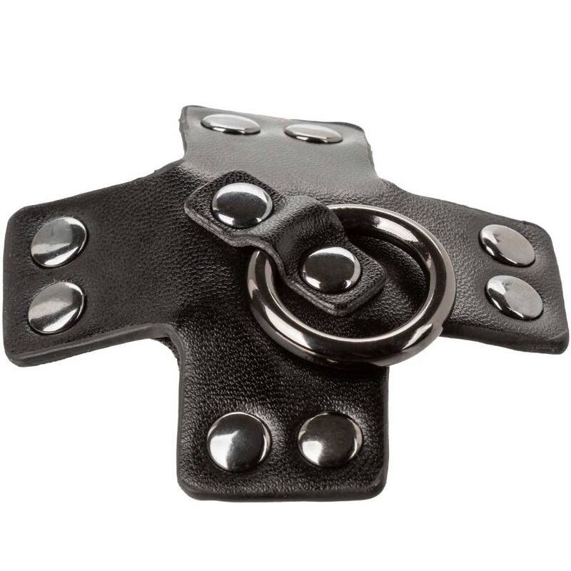 Comprar CALEXOTICS Euphoria Pezoneras Junta Tórica Negro – Accesorio Sensual Con Diseño Elegante-Noxtic