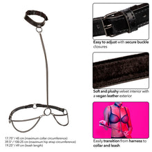 Comprar CALEXOTICS Collar Halter Euphoria – Diseño Elegante Para Placer y Confianza-Noxtic