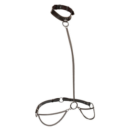 Comprar CALEXOTICS Collar Halter Euphoria Con Correa – Diseño Elegante Para Confianza Y Libertad Sensorial-Noxtic
