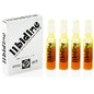 Comprar EROS-ART Libidine Afrodisíaco Natural 4 Ampollas – Potenciador De Libido Con Extractos De Plantas-Noxtic