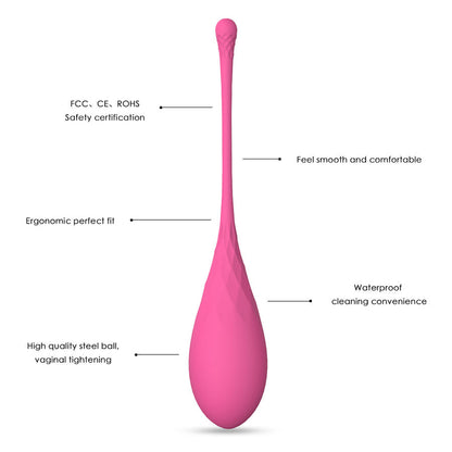 Comprar LESLIE Kegel Fit Entregador Suelo Pélvico – Entrenador Con Seis Pesos Para Fortalecimiento Personalizado-Noxtic