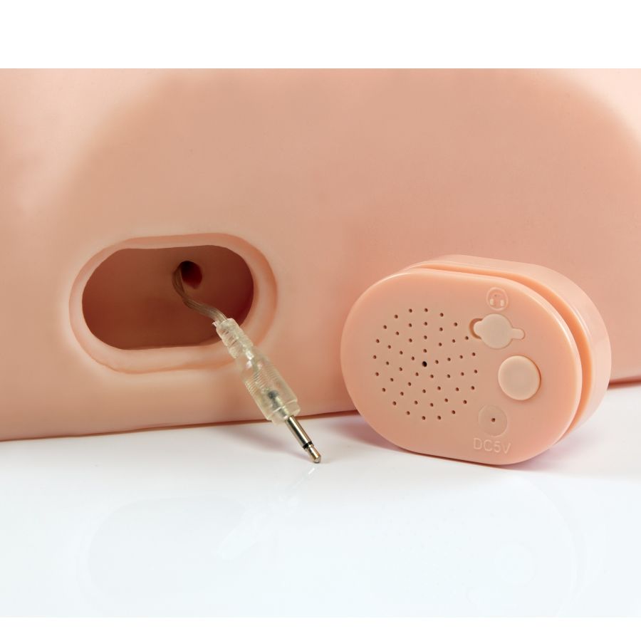 Comprar PDX Male Interactive Masturbador – Experiencia Sensorial Con Activación De Movimiento-Noxtic